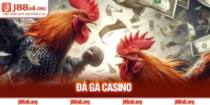 Đá Gà Casino