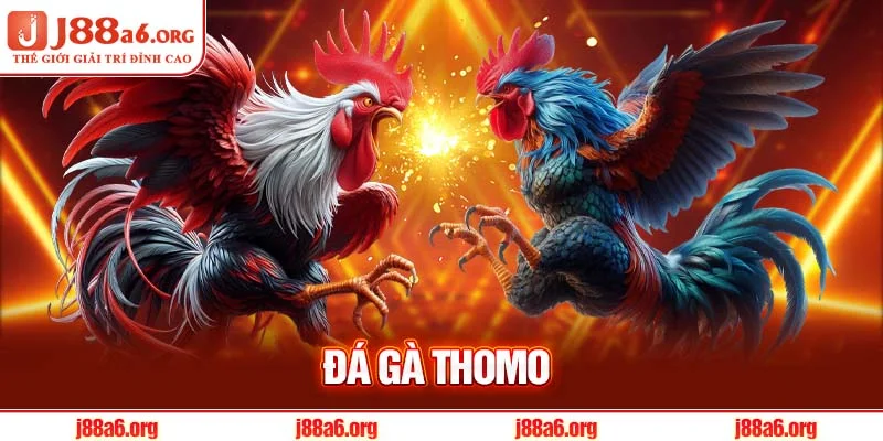 Đá Gà Thomo