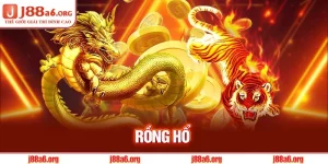 Rồng Hổ